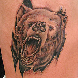 Tattoo of bear
