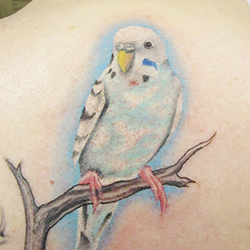 Tattoo of bird