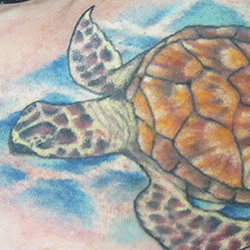 Tattoo of sea turtle