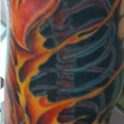 Tattoo of phoenix
