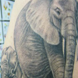 Tattoo of elephants