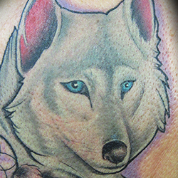 Tattoo of wolf