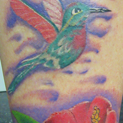 Tattoo of humming bird