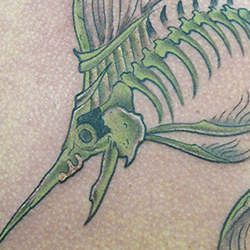 Tattoo of marlin skeleton
