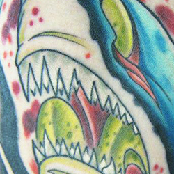 Tattoo of shark