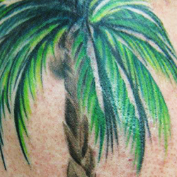 Tattoo of palm tree
