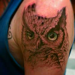 Tattoo of owl