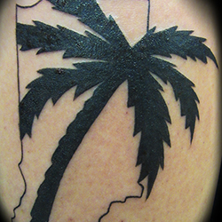 Tattoo of state of indiana and a palm tree