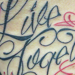 Tattoo of text 'live together die alone